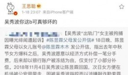 明星黑料合法吗 网红大瓜文件docx,法律边界与道德考量
